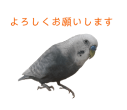 392329898
