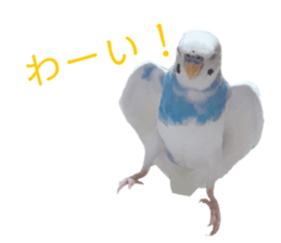 392329921