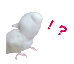 392329931