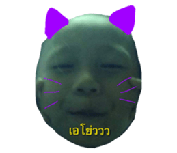 392361140
