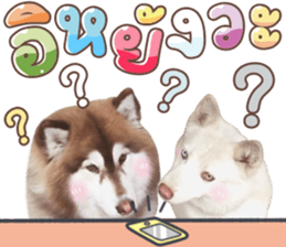 392368824