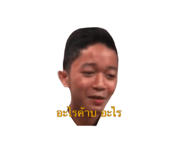 392426706