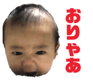 392501186