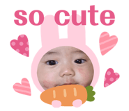 392501191