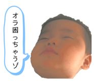 392501210