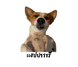 392545441