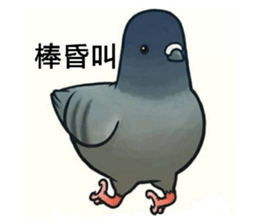 392617597