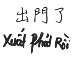 39264057