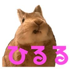 392711349