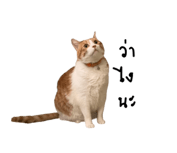 392751489