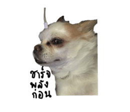 392751933