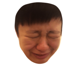 392752945