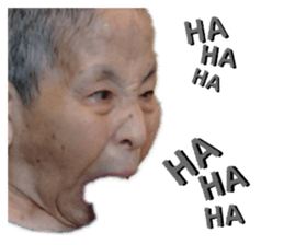 392753629