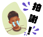 392753814