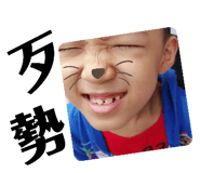 392753844