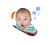 392770769