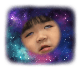 392791637