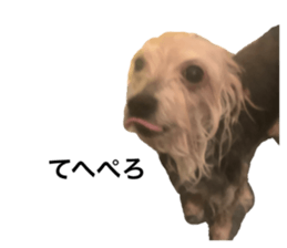 392806647