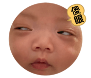 392876103