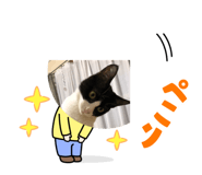 392878496