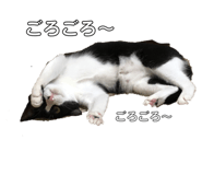 392878503