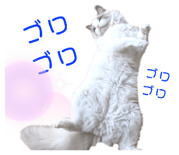 392886306