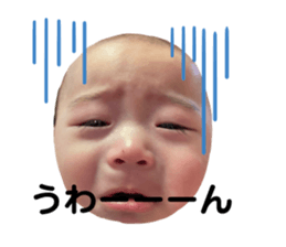 392900725