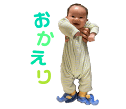 392906836
