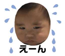 392916163