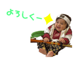 393015892