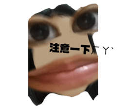 393026588