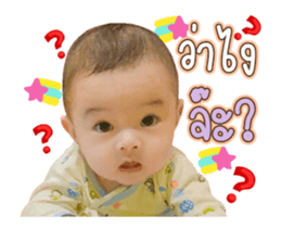 393033752