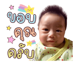 393035502