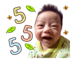 393035505