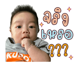 393035508