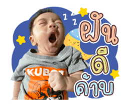 393035509