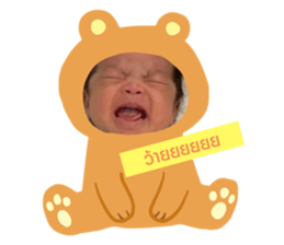 393053315
