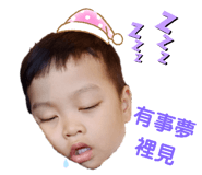 393090019
