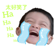 393090027