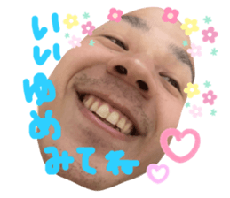 393155086