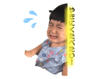 393156620