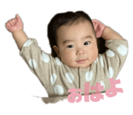 393160633