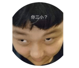 393189381