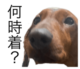393189972