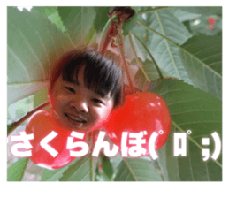393194371