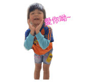 39321662