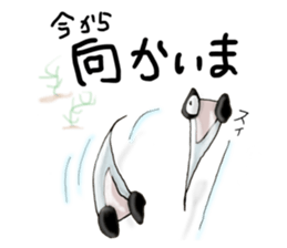 393245325