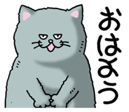 393280159