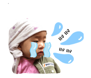 393365778