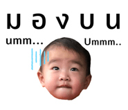393365784